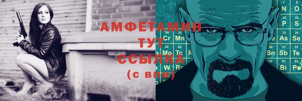 ПСИЛОЦИБИНОВЫЕ ГРИБЫ Каменногорск