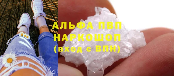 ПСИЛОЦИБИНОВЫЕ ГРИБЫ Каменногорск