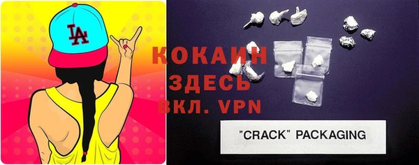 спайс Каменка