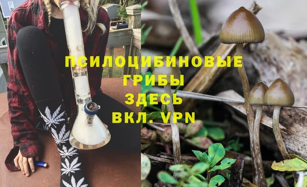 ПСИЛОЦИБИНОВЫЕ ГРИБЫ Каменногорск