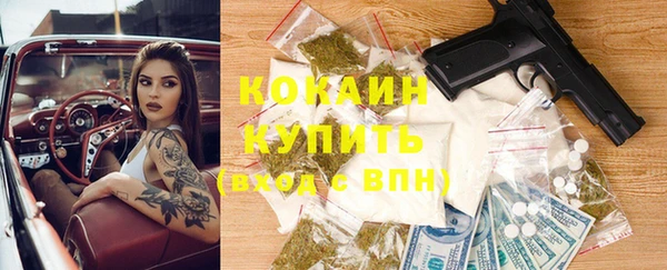 спайс Каменка