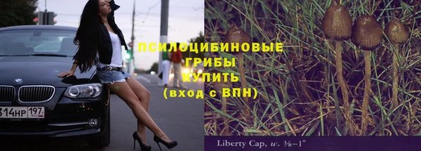 спайс Каменка