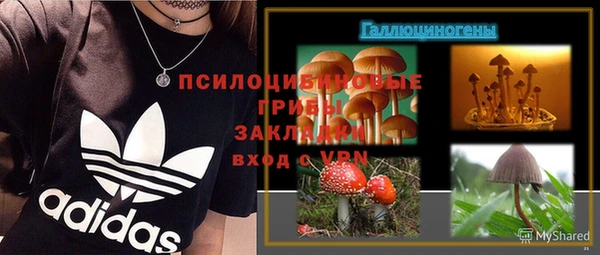 гидра Каменск-Шахтинский